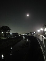 月夜の鶴見川