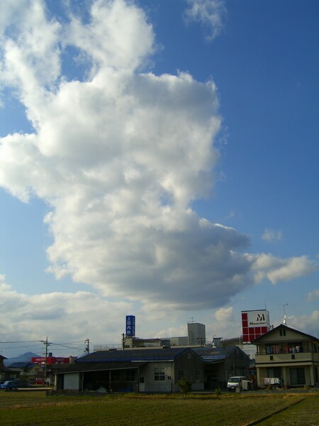 雲(定点観測)