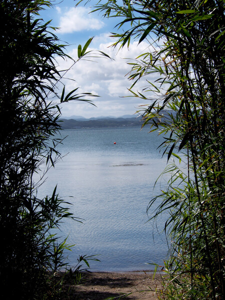 宍道湖の風景