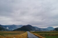 偶に小雨がぱらつく今朝の空