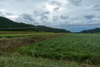 台風一過、広域農道から。