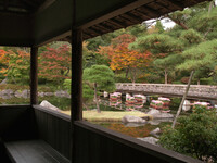 【絵のような】秋の日本庭園