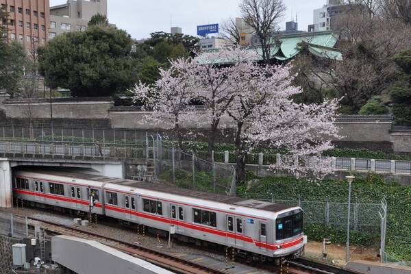 【桜】桜と地下鉄