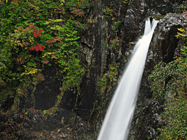 【秋】　滝と紅葉