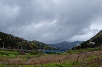 雨降りの朝・・。