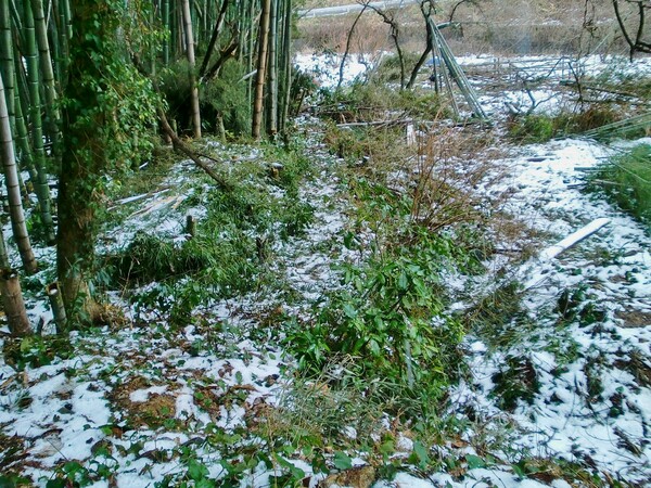 奥の畑の今日夕方の積雪
