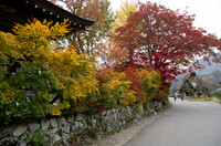 白川郷での紅葉