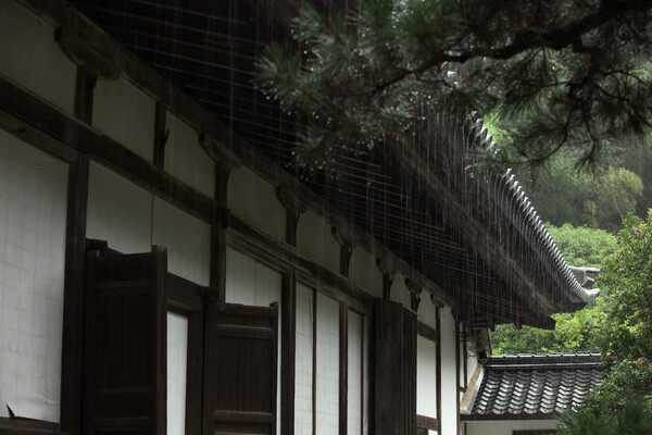 禅寺の雨