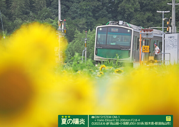 夏の陽炎