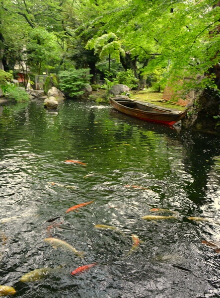 愛宕神社境内の池