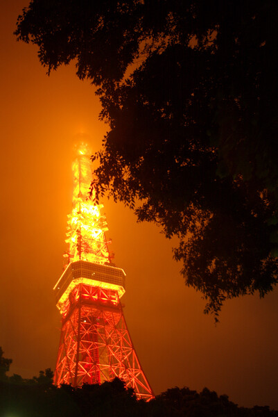 燃える！東京タワー