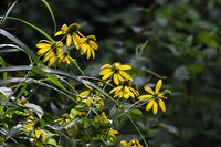 越後湯沢の山奥で 7
