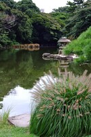 日本庭園の九月
