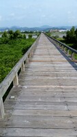 【MFP】世界一長い木造歩道橋