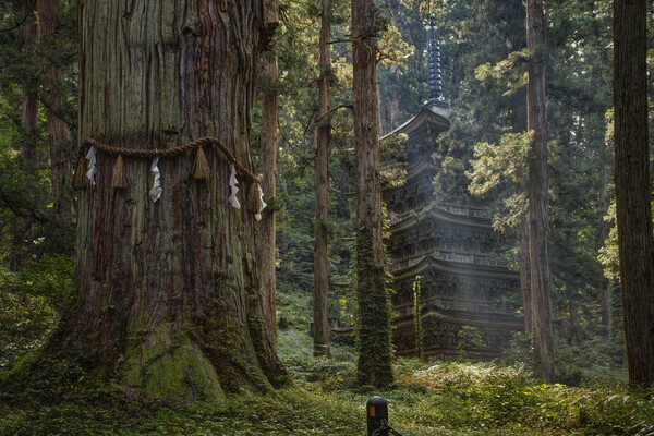 フォトショップでのレンズ歪補正のケース