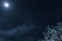 月夜