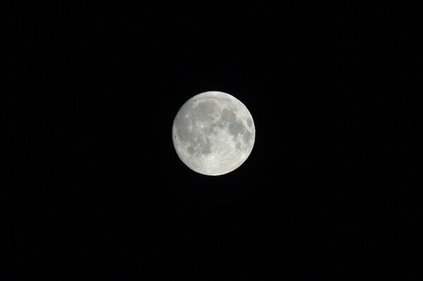 【天】お月見
