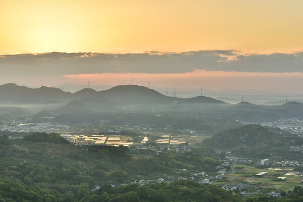 田植え前の水田