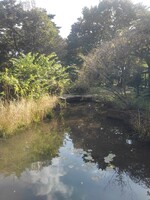 森の池～那須野が原公園より