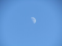青空の中のお月様