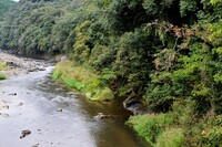 山柿と清流