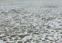 雪と砂