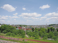 緑の合間に２