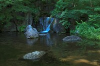 木漏れ日の滝