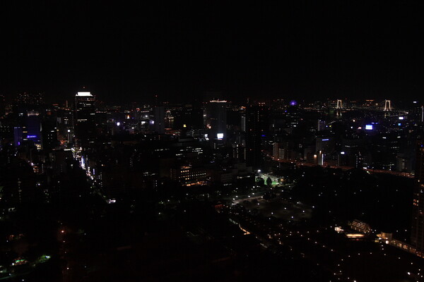 [ノスタルジー]東京タワーからの夜景