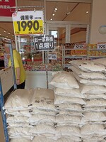 初めて見た