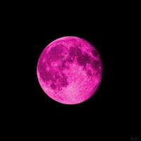 Pink Moon