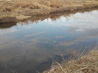 空が映る川の水面