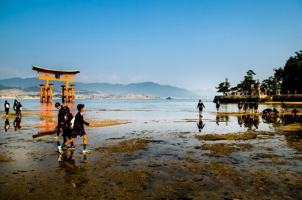 【木】赤い鳥居 