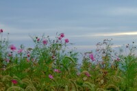 写真とつて歩く少し風ある風景