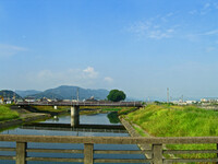 朝の川面