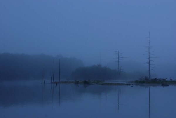 朝靄の大正池　２