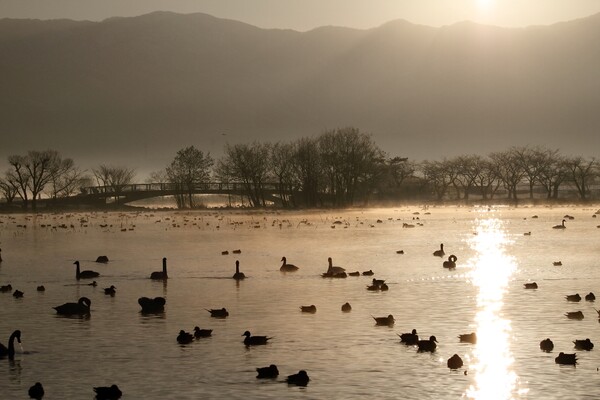 朝霧と朝日の瓢湖