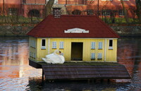 The house of swan.