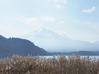 神々しい山