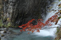 銚子の滝に秋を見た