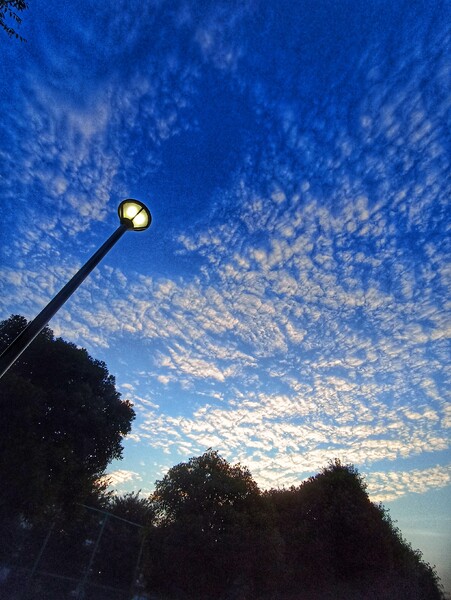 今朝の空