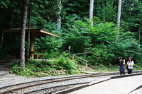 森の終着駅