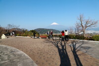 富士山を撮ってご満悦