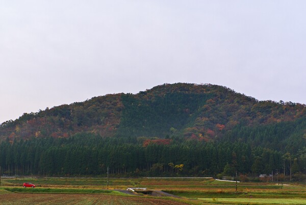 早朝の紅葉