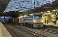 ヘッドマーク付EF66牽引コンテナ専用列車