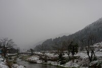 昨日に続いて雪が降ってます。