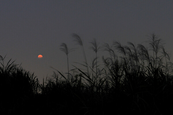 【空】赤い月