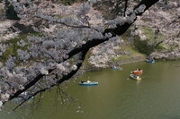 千鳥ヶ淵緑道