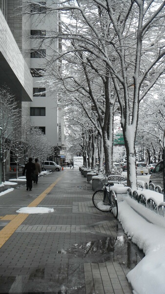 【街角のスナップ】雪街