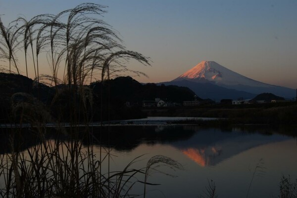 晩秋の逆さ富士山